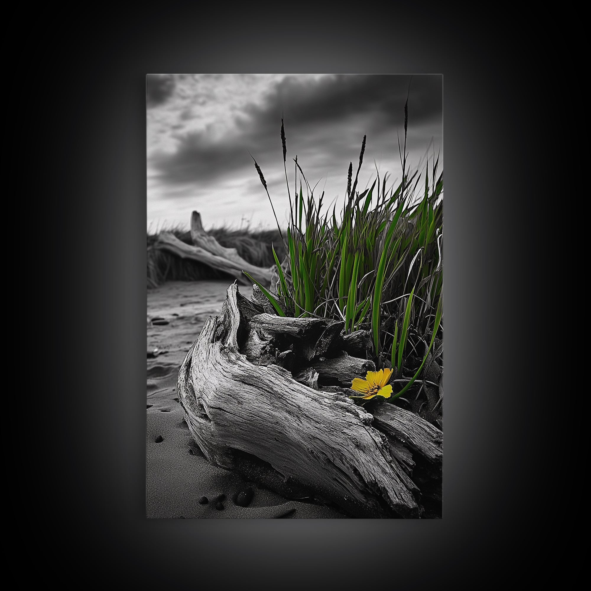 Wild Bloom, Yellow Flower, Driftwood and Grass, Moody Beach Scene, Framed Canvas Print, Autumn Wall Art, Nature Decor, Cozy Home Accent