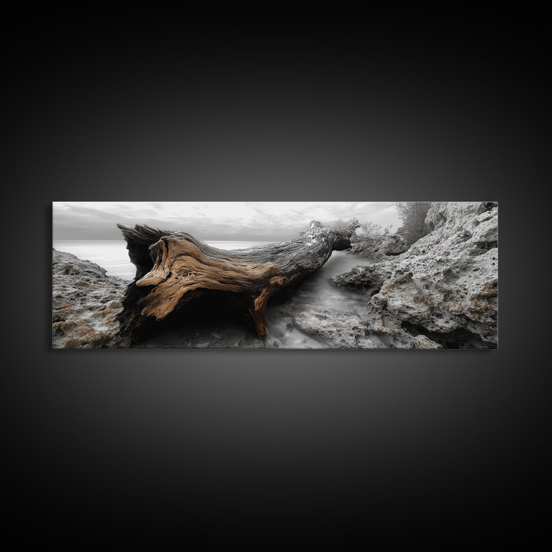 Driftwood Coast, Ocean Roots, Washed Ashore, Beach Texture — Canvas Print, Coastal Decor, Bathroom Wall Art, Monochrome Nature Photography