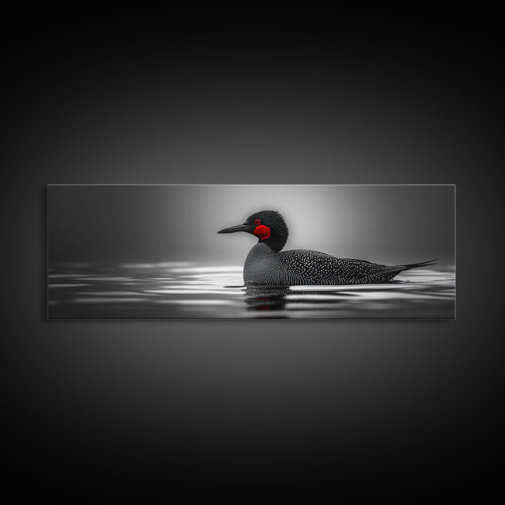 Red-Eyed Loon, Waterbird, Monochrome Beauty, Wildlife Portrait, Framed Canvas Print, Cabin Wall Art, Bird Lover Gift, Nature Photography