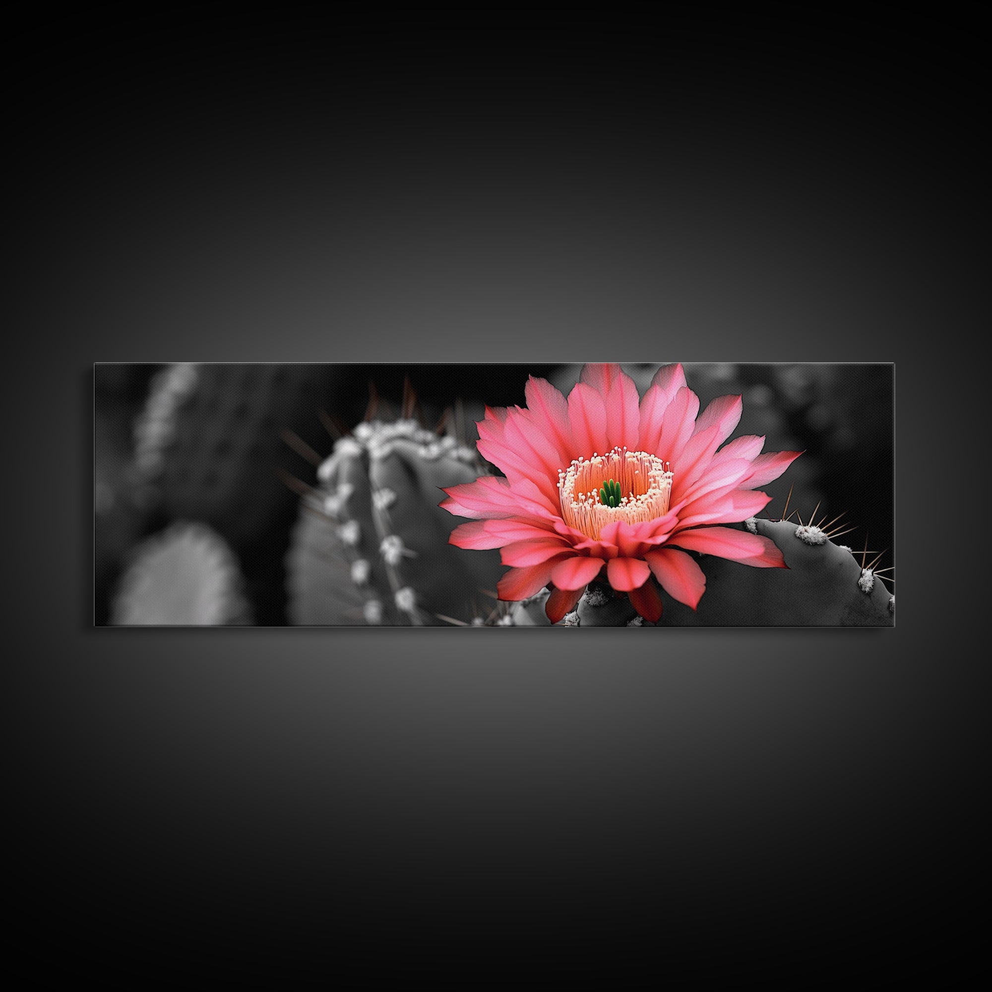 Desert Bloom, Cactus Flower, Vibrant Petals, Nature Beauty, Framed Canvas Print, Boho Wall Art, Living Room Decor, Pink Flower Photography