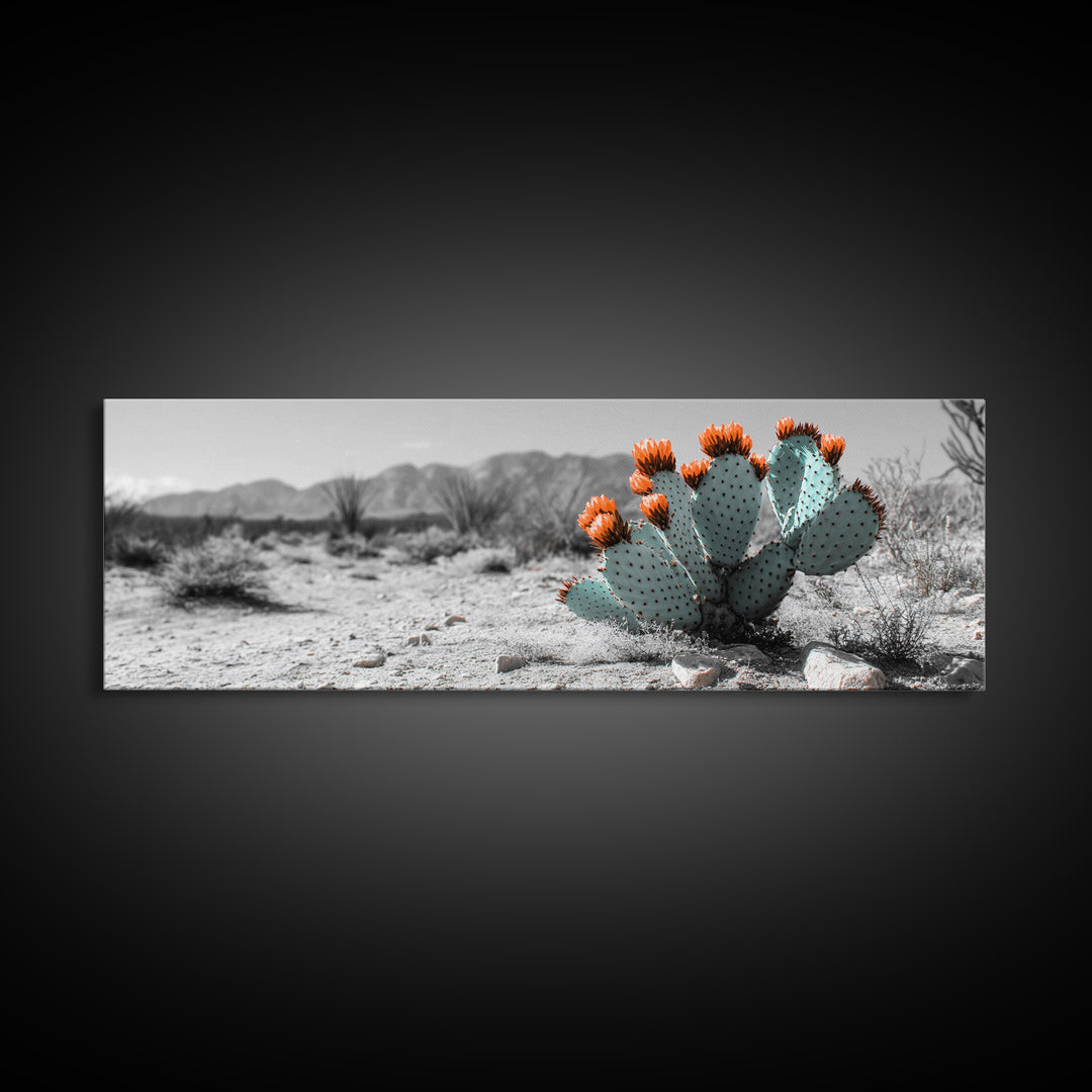 Cactus Garden, Desert Life, Orange Bloom, Nature Vibes, Framed Canvas Print, Rustic Wall Art, Boho Decor, Office Botanical Accent