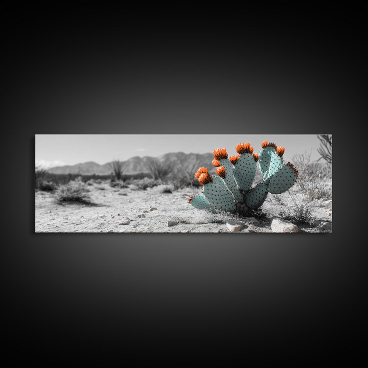 Cactus Garden, Desert Life, Orange Bloom, Nature Vibes, Framed Canvas Print, Rustic Wall Art, Boho Decor, Office Botanical Accent