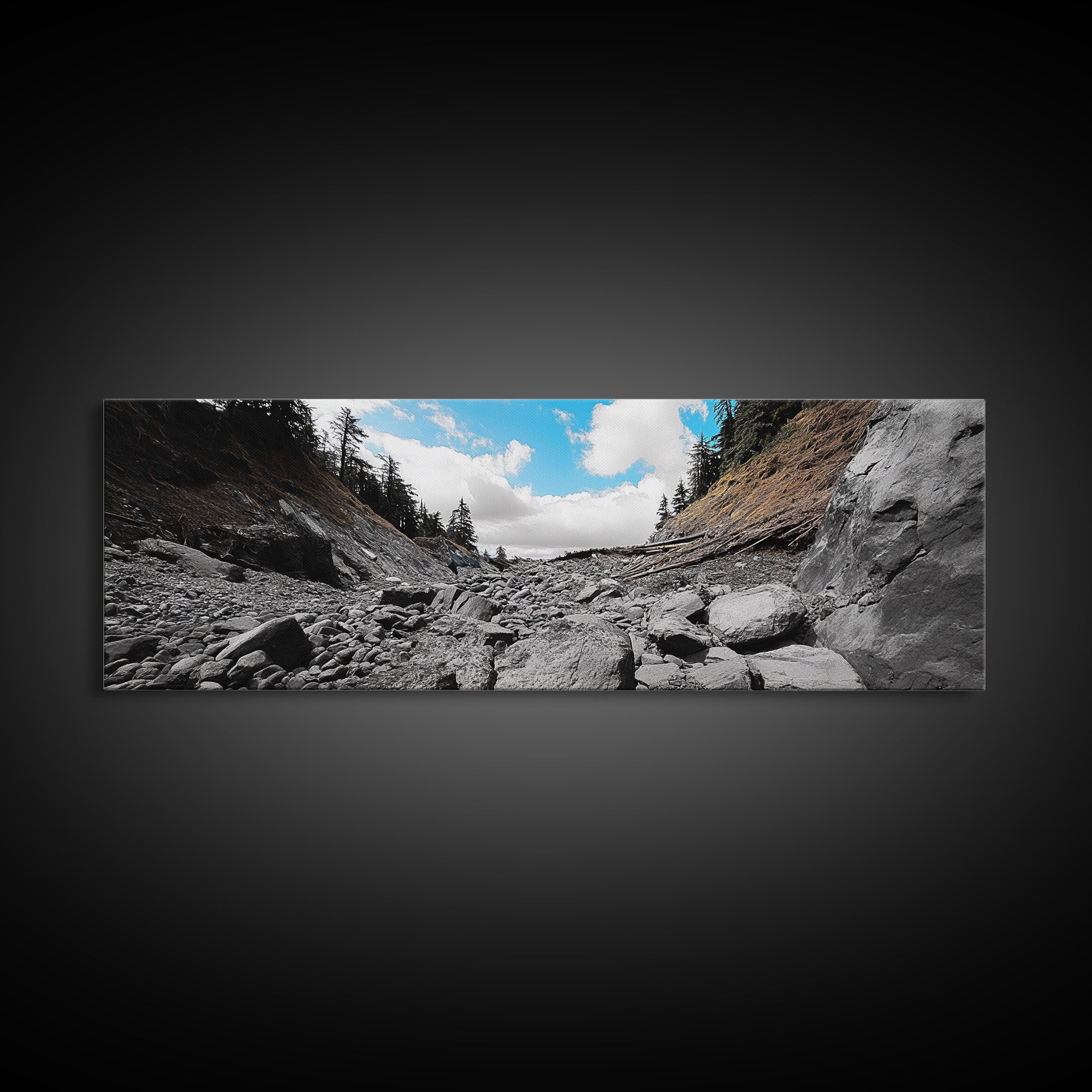 Rocky Trail, Blue Sky, Wilderness Path, Forest Adventure, Canvas Print, Rustic Nature Art, Hiking Wall Art, Cabin Living Room Decor