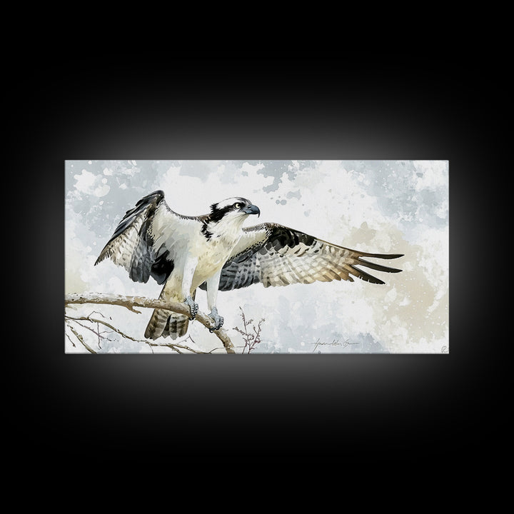 Landing Osprey On Winter Branch Canvas Print, Watercolor Hawk Wall Art, Rustic Nature Decor, Bird Lover Housewarming Gift