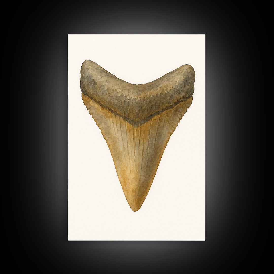 Watercolor Fossil Shark Tooth Wall Art, Nautical Coastal Decor, Ocean Nature Art Print, Beach House Gift, Marine Life Poster