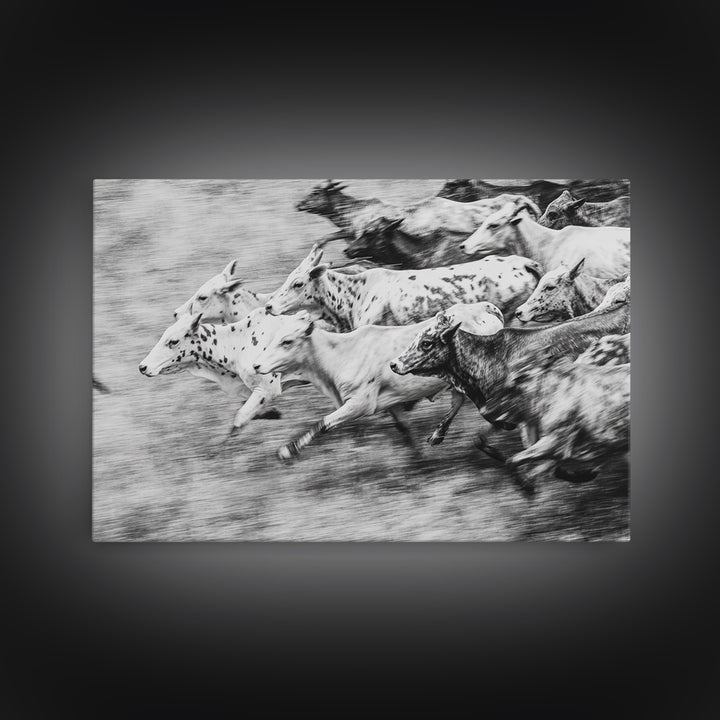 Black And White Running Cattle Wall Art, African Safari Animal Print, Rustic Farmhouse Decor, Western Herd Canvas Artwork