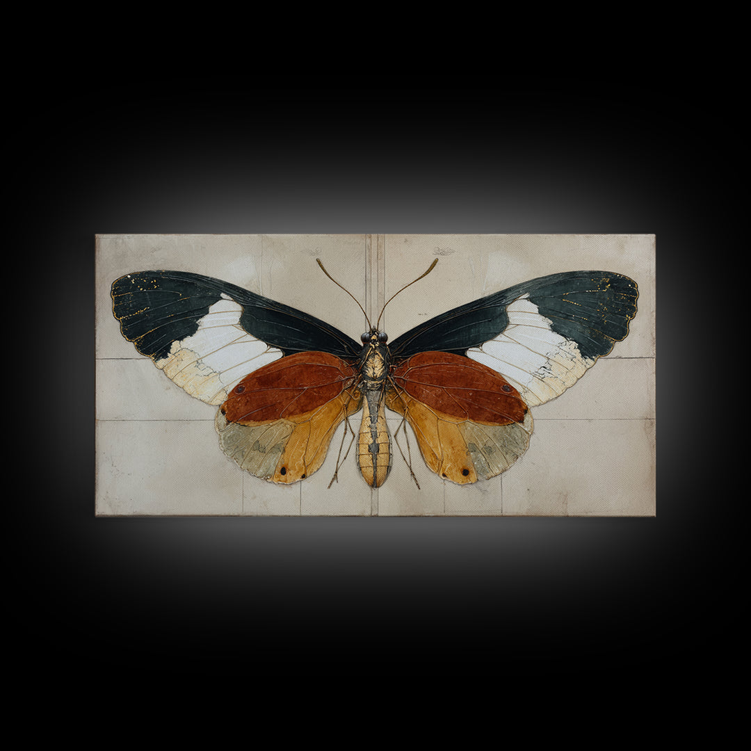Butterfly Specimen Composition Framed Canvas Print, Animal Art, Digital Art, Living Room Decor, Creature, Farmhouse Decor, ANI-2x1-91