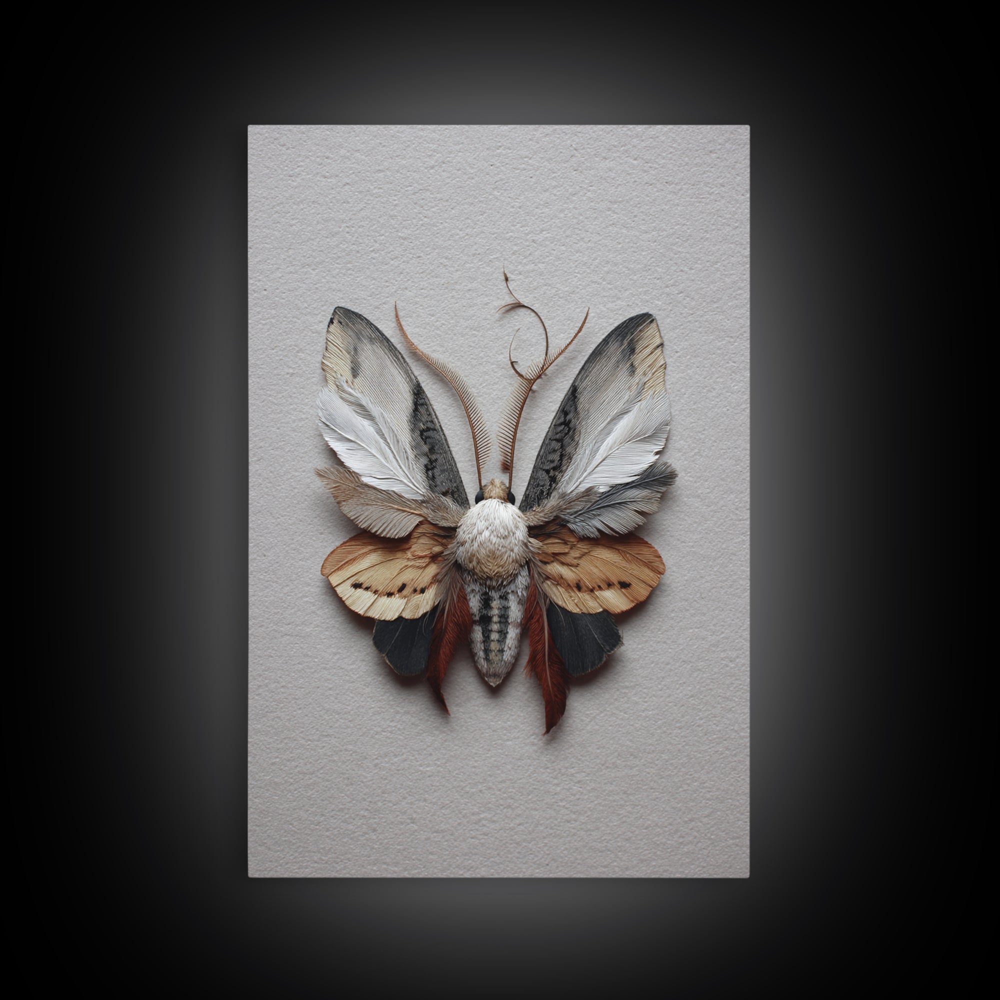 Butterfly Specimen Composition Canvas Print, Animal Art, Art, Living Room Decor, Creature, Original Art, Nursery Wall Art, ANI-2x3-79