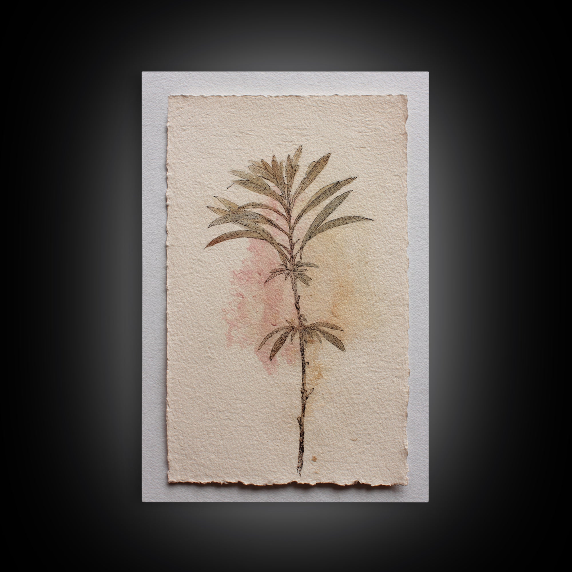 Minimal Botanical Ink Drawing on Handmade Paper Framed Canvas Print, Art, Room Decor, Living Room Decor, Fine Art, ART-2x3-13
