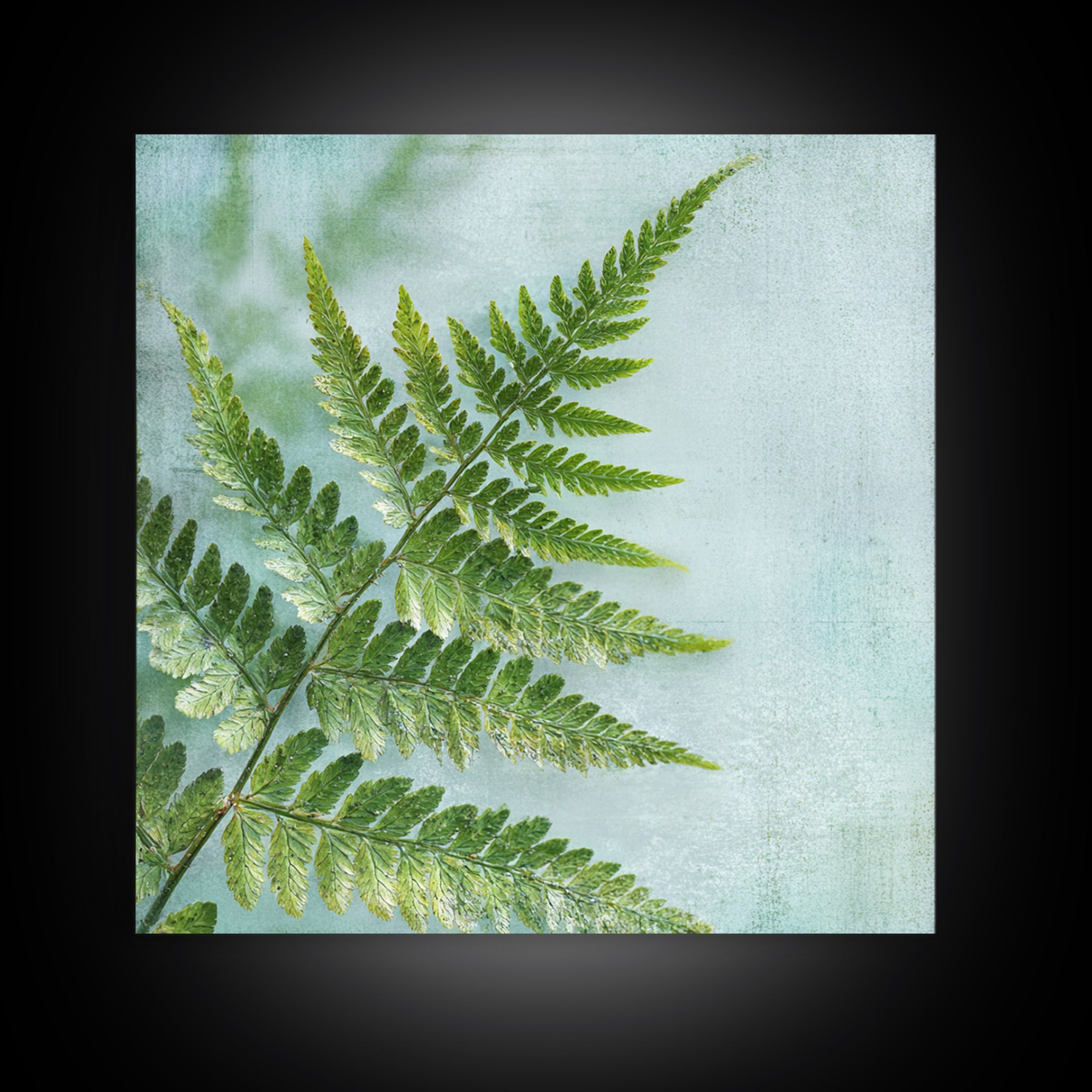 Green Fern Frond Closeup Canvas Print, Bathroom Art, Bathroom Prints, Bathroom Decor, Fine Art, Spa, Trendy Wall Art, BAT-1x1-10