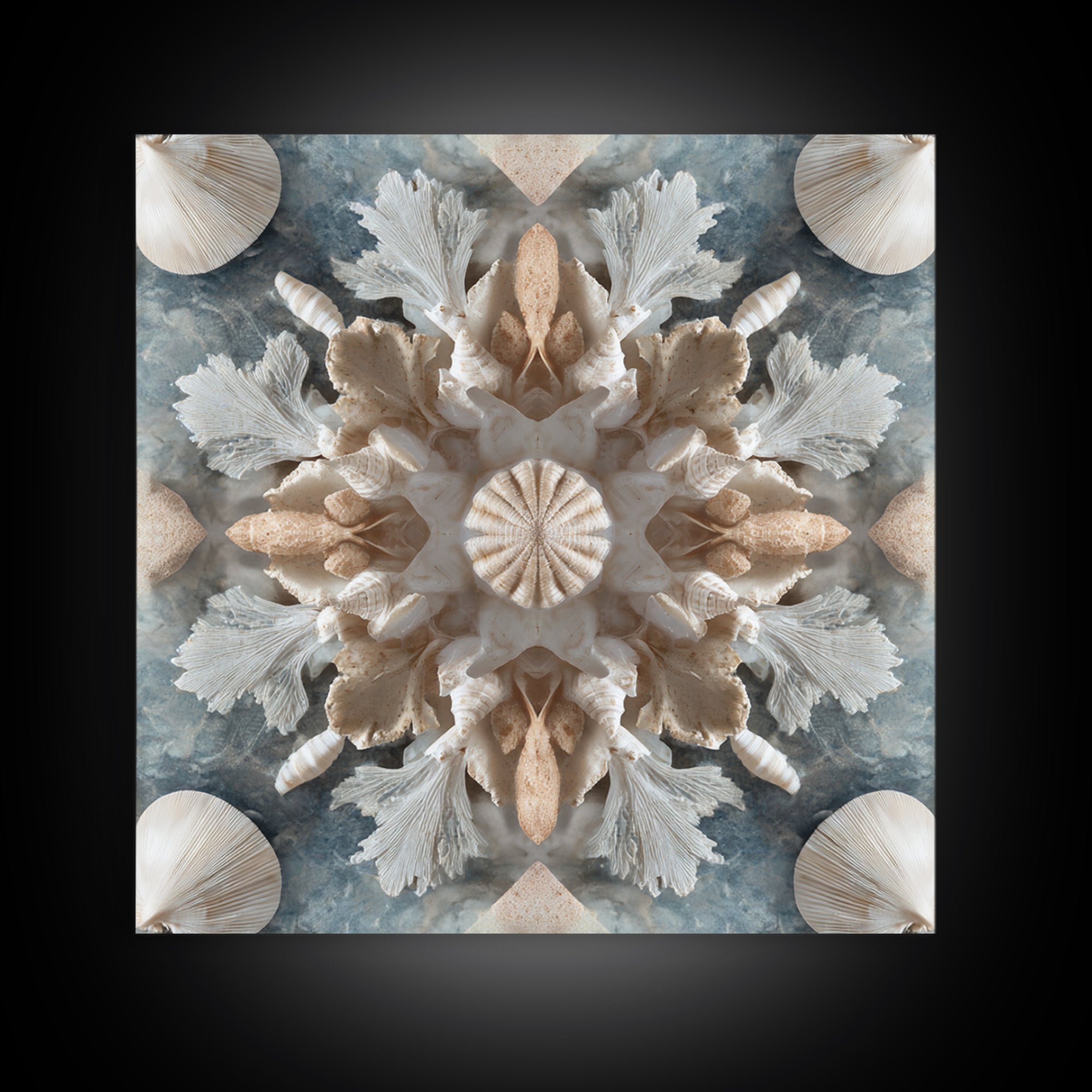 Coral and Shell Arrangement Framed Canvas Print, Bathroom Art, Bathroom Decor, Fine Art, Spa, Bathroom Accessories, Modern Art, BAT-1x1-11