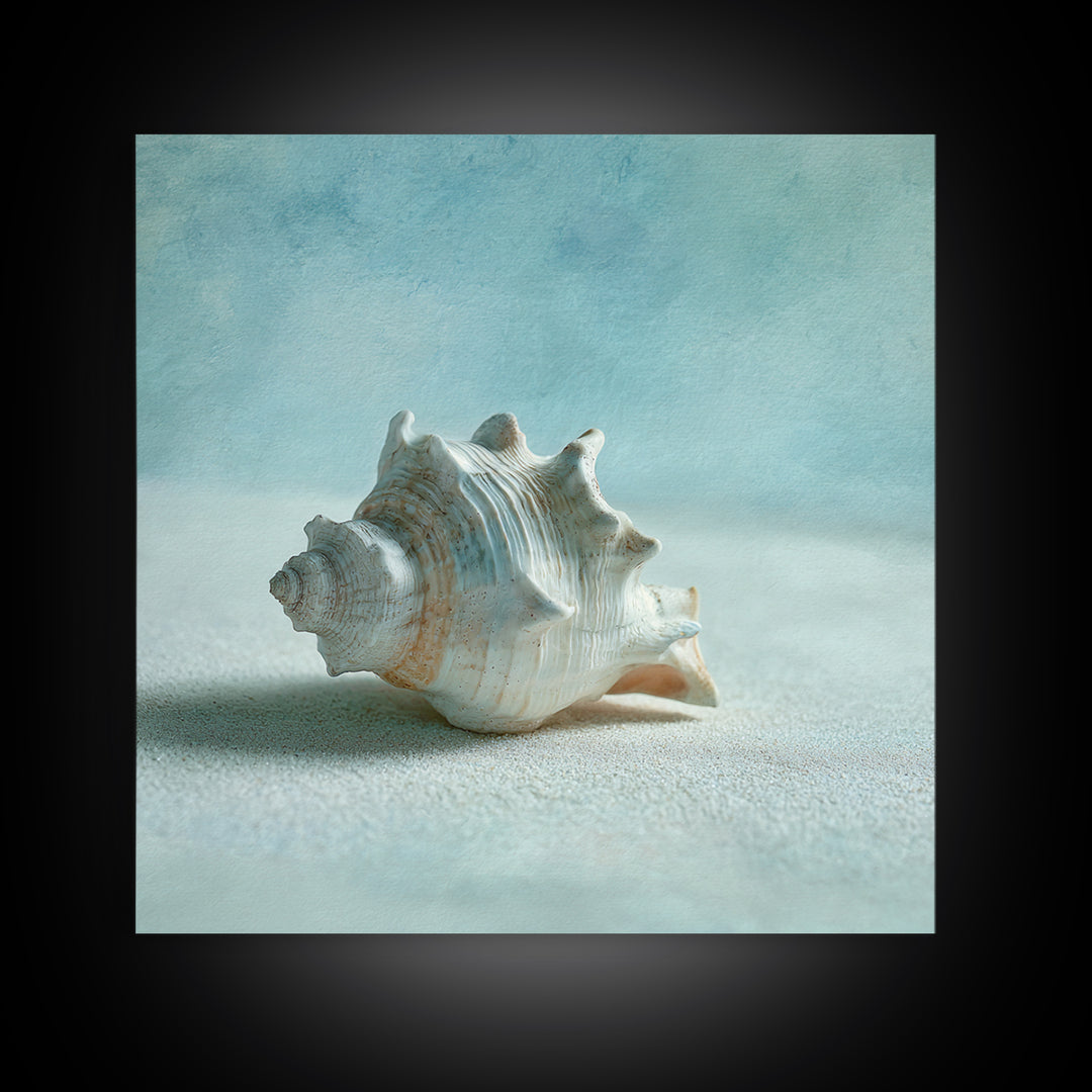 Minimal Seashell Still Life on Pale Sand Canvas Print, Bathroom Art, Custom Pet Portrait, Bathroom Decor, Abstract Art, Spa, BAT-1x1-3