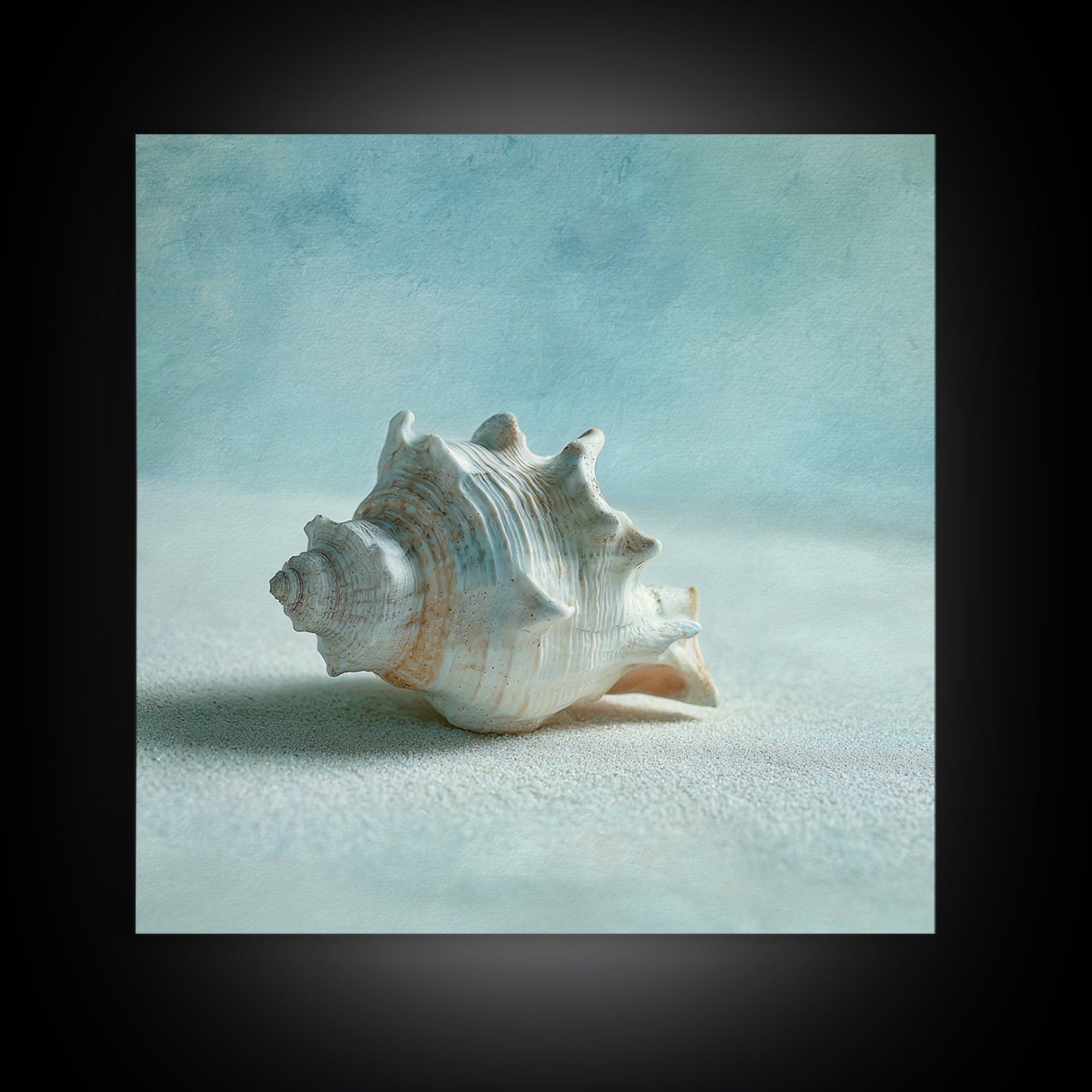 Minimal Seashell Still Life on Pale Sand Canvas Print, Bathroom Art, Custom Pet Portrait, Bathroom Decor, Abstract Art, Spa, BAT-1x1-3