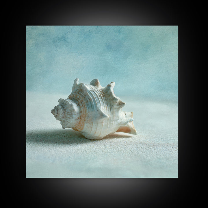 Minimal Seashell Still Life on Pale Sand Canvas Print, Bathroom Art, Custom Pet Portrait, Bathroom Decor, Abstract Art, Spa, BAT-1x1-3