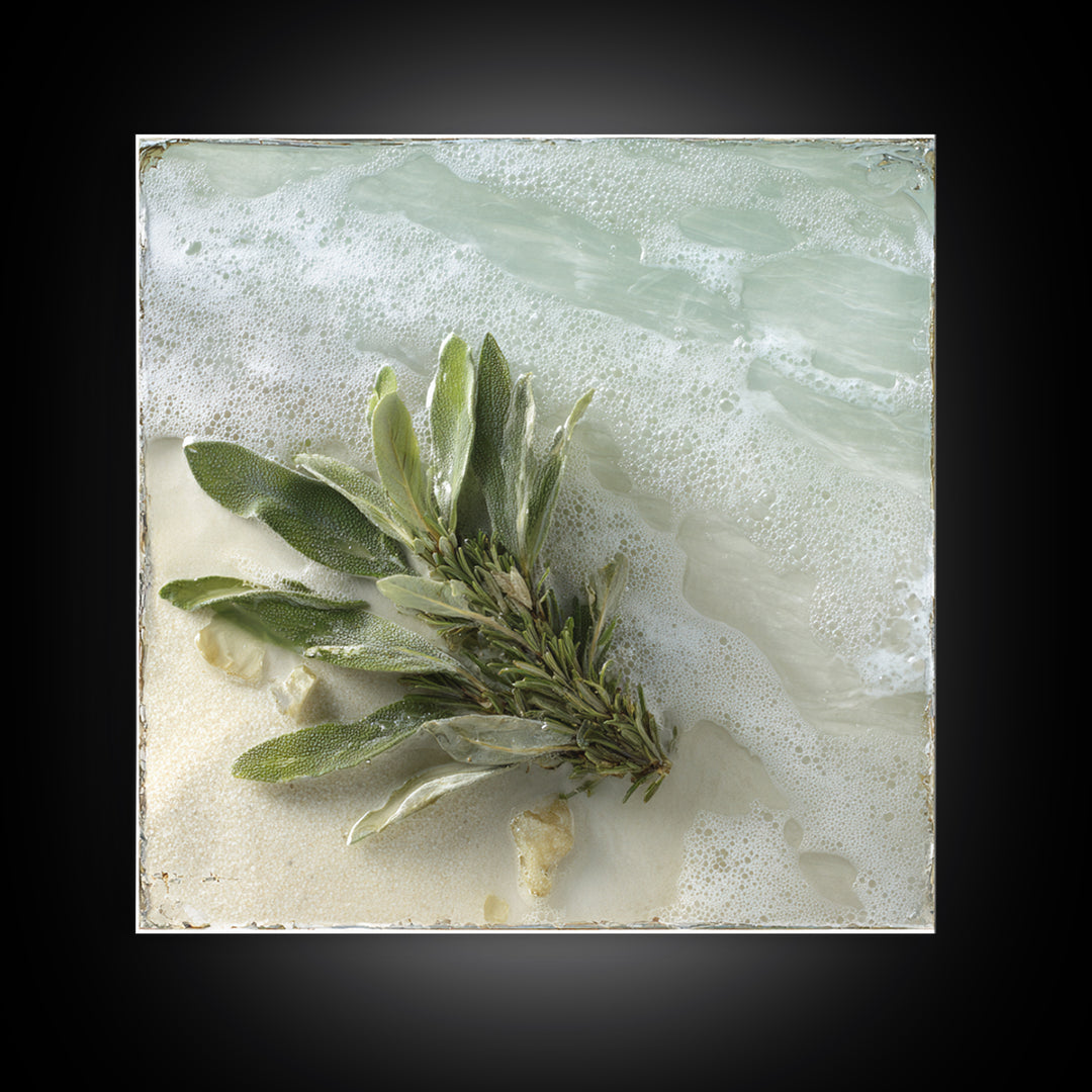 Botanical Bath Herb Arrangement Framed Canvas Print, Bathroom Art, Minimalist Wall Art, Bathroom Decor, Oil Painting, Spa, BAT-1x1-41