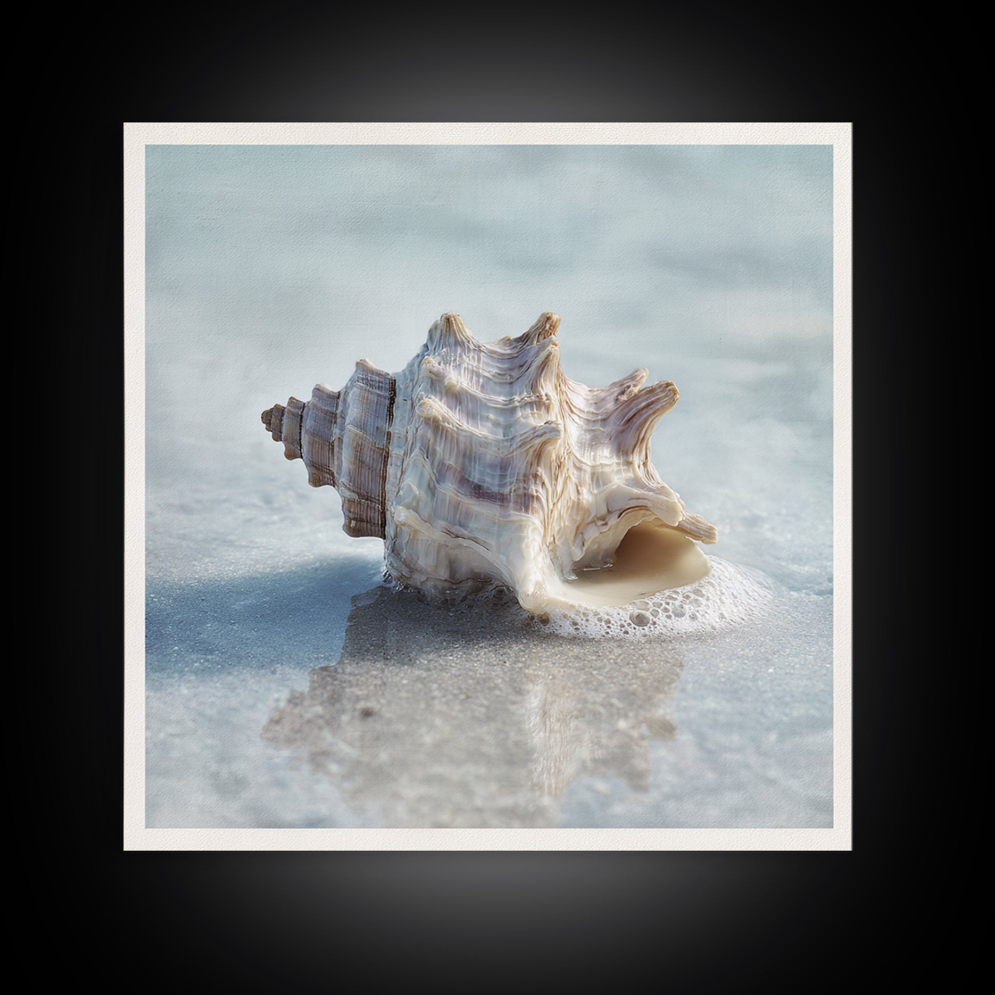 Minimal Seashell Still Life on Pale Sand Framed Canvas Print, Bathroom Art, Minimalist Wall Art, Bathroom Decor, Oil Painting, BAT-1x1-51