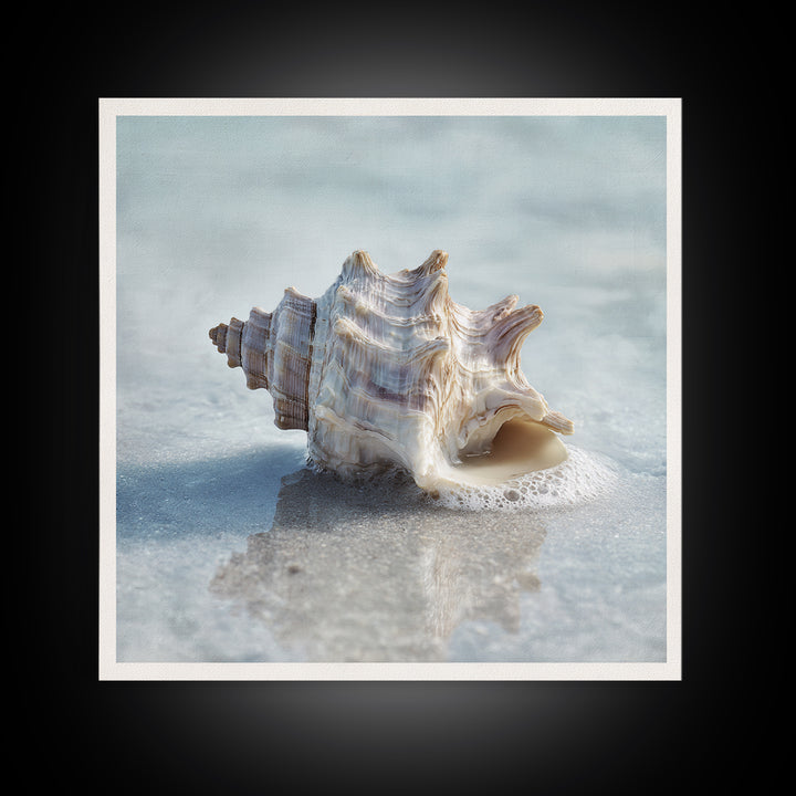 Minimal Seashell Still Life on Pale Sand Framed Canvas Print, Bathroom Art, Minimalist Wall Art, Bathroom Decor, Oil Painting, BAT-1x1-51