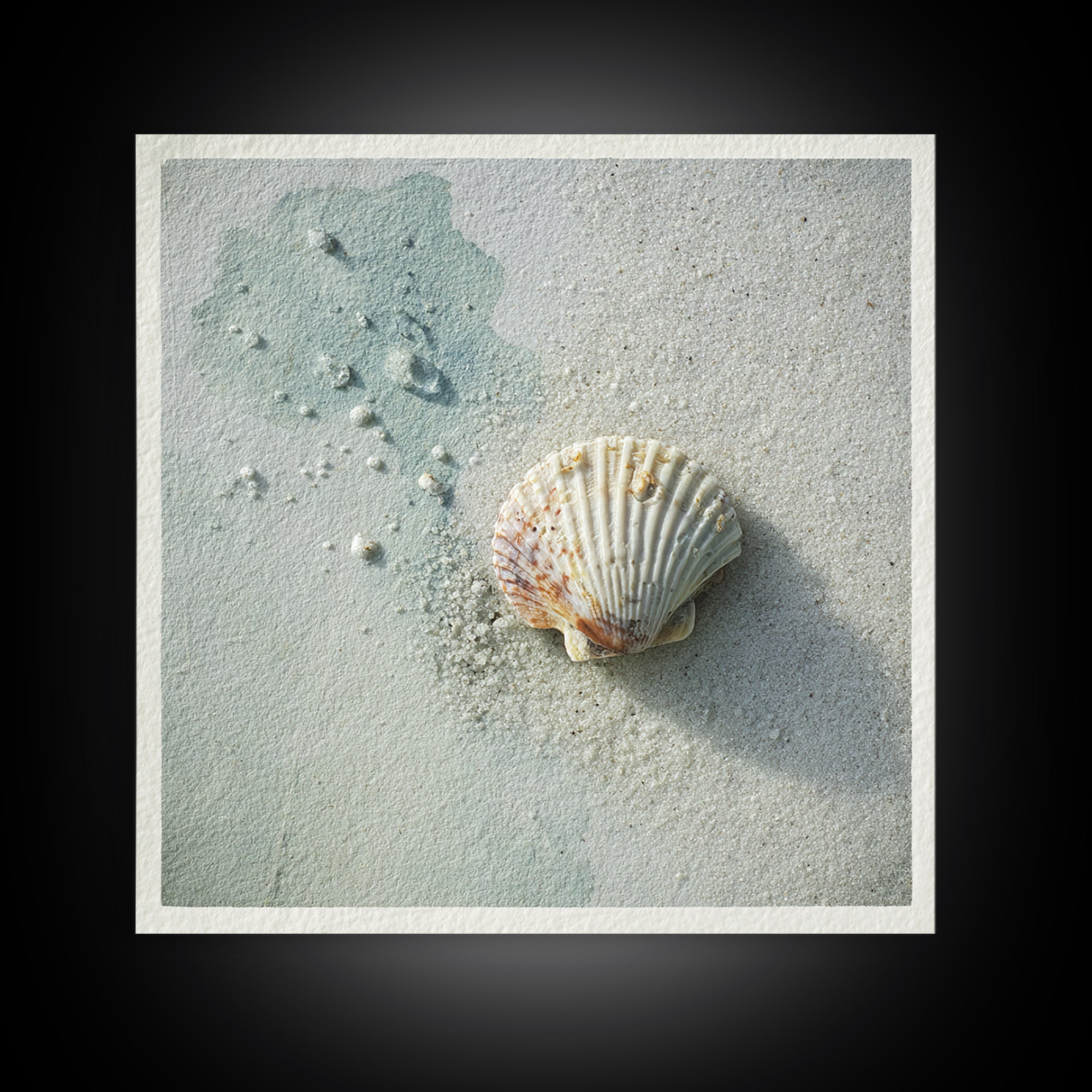 Minimal Seashell Still Life on Pale Sand Canvas Print, Bathroom Art, Gallery Decor, Bathroom Decor, Spa, Minimalist Decor, BAT-1x1-75