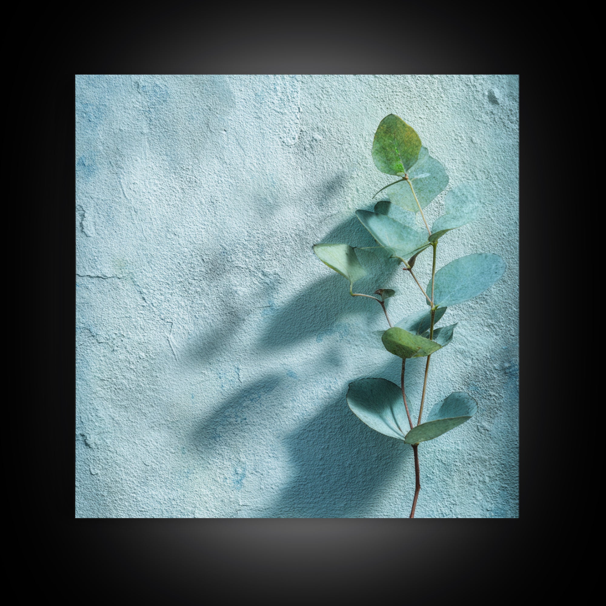 Sunlit Window Plant Shadow on Plaster Canvas Print, Bathroom Art, Bathroom Art Decor, Bathroom Decor, Fine Art, Spa, Boho Decor, BAT-1x1-90