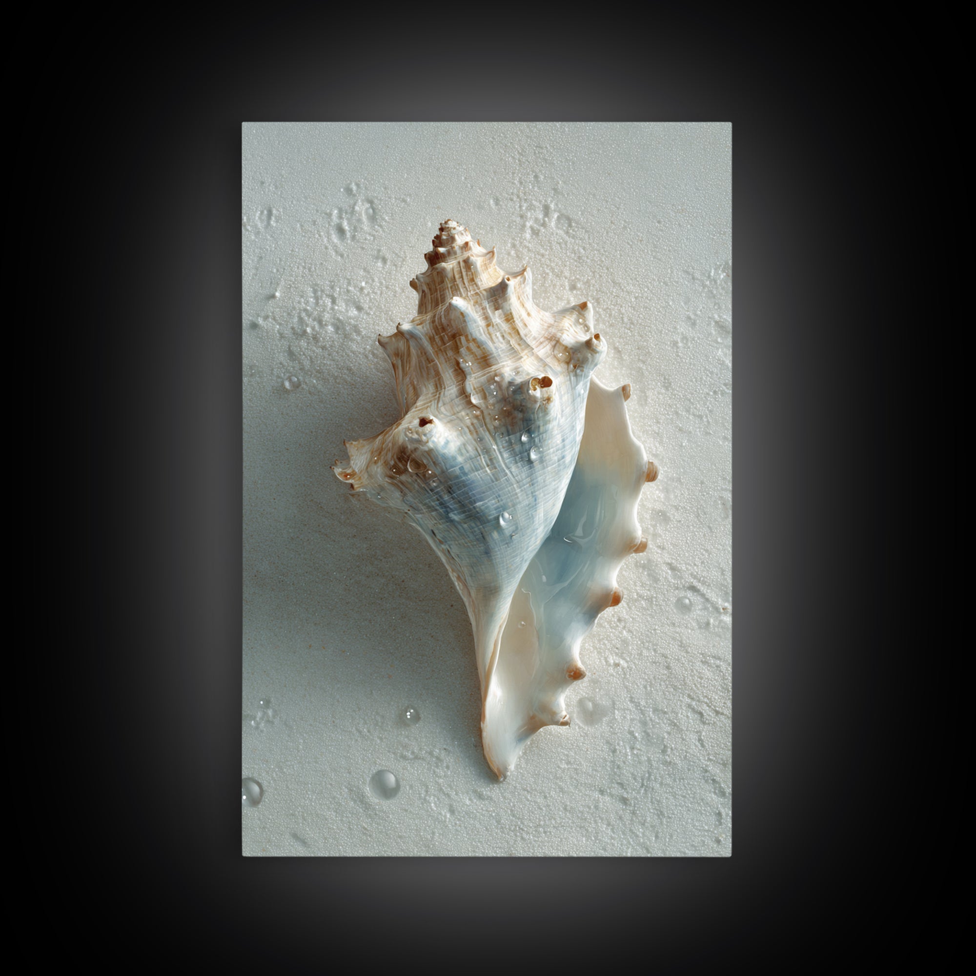 Minimal Seashell Still Life on Pale Sand Canvas Print, Bathroom Art, Modern Wall Art, Bathroom Decor, Abstract Art, Spa, BAT-2x3-11