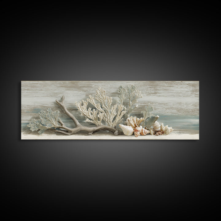Coral and Shell Arrangement Framed Canvas Print, Bathroom Art, Wall Decor, Bathroom Decor, Fine Art, Spa, Contemporary Art, BAT-3x1-99