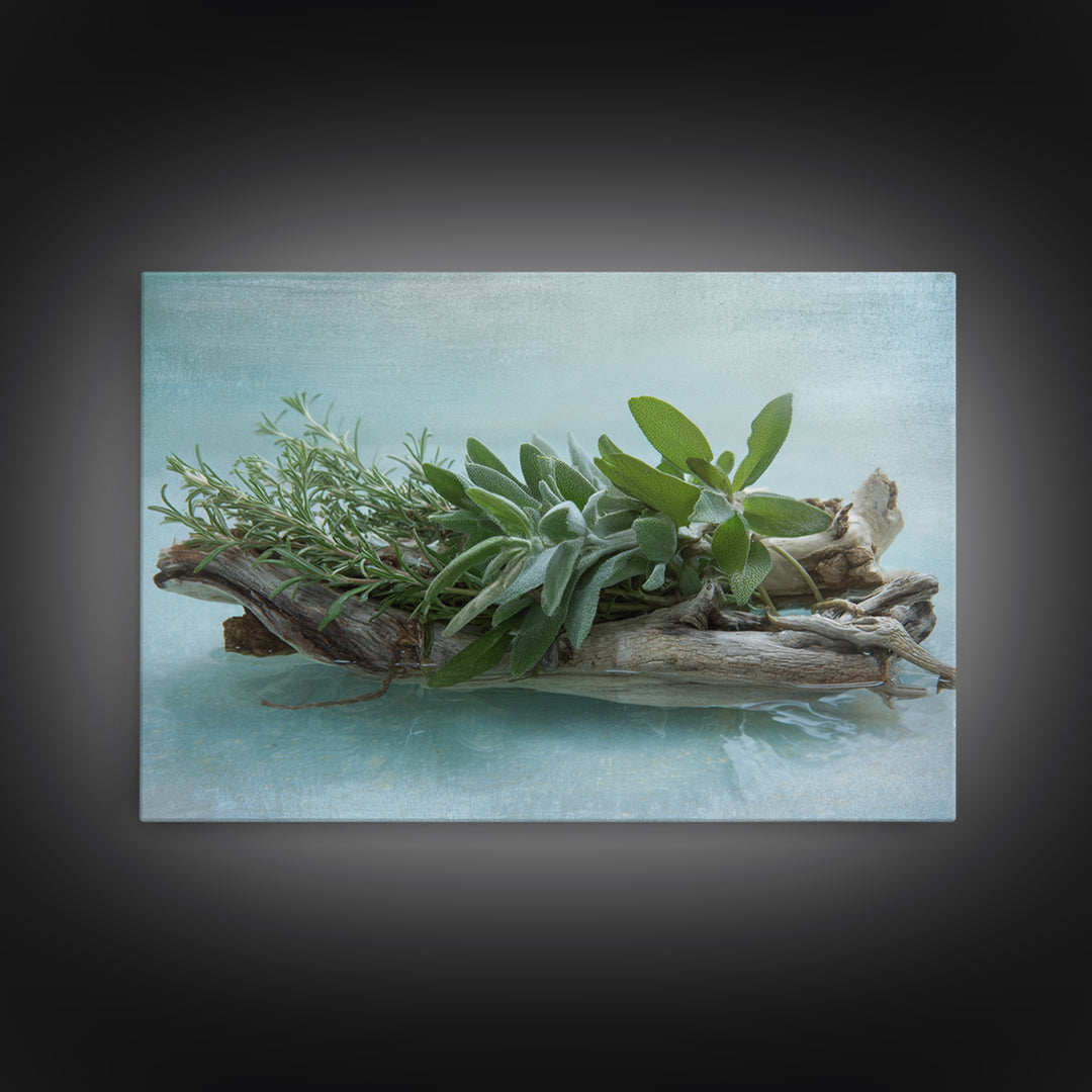 Botanical Bath Herb Arrangement Canvas Print, Bathroom Art, Bathroom Decor, Fine Art, Spa, Bathroom Accessories, Modern Art, BAT-3x2-21