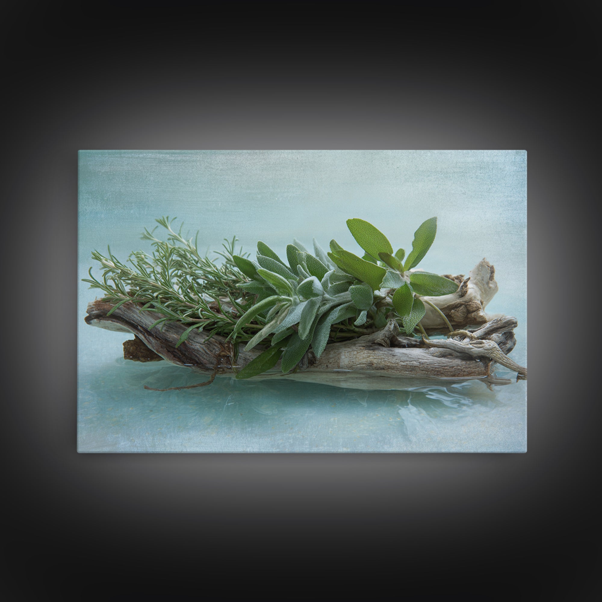 Botanical Bath Herb Arrangement Canvas Print, Bathroom Art, Bathroom Decor, Fine Art, Spa, Bathroom Accessories, Modern Art, BAT-3x2-21