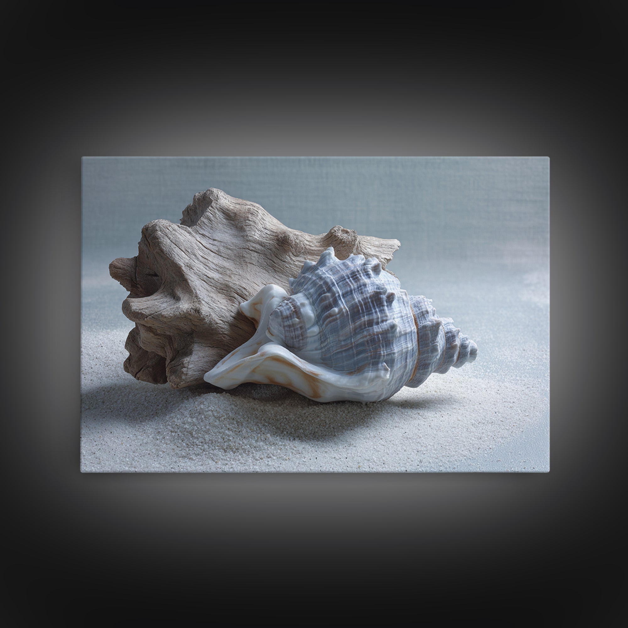 Minimal Seashell Still Life on Pale Sand Framed Canvas Print, Bathroom Art, Canvas Wall Art, Bathroom Decor, Fine Art, Spa, BAT-3x2-31