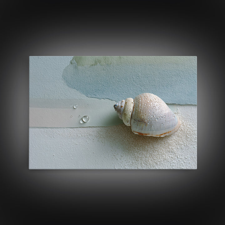 Minimal Seashell Still Life on Pale Sand Framed Canvas Print, Bathroom Art, Statement Artwork, Bathroom Decor, Abstract Art, BAT-3x2-7