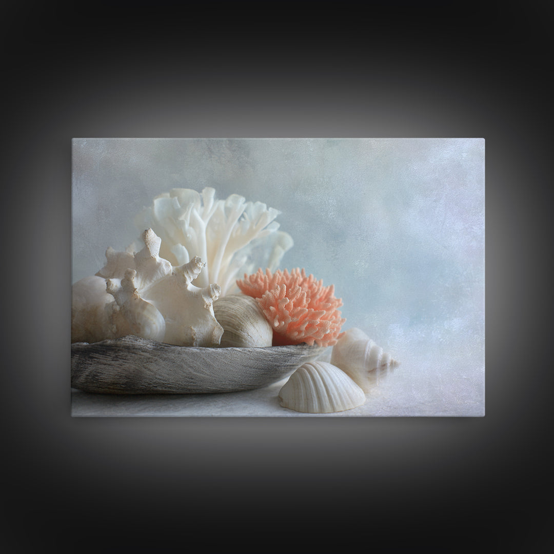 Coral and Shell Arrangement Framed Canvas Print, Bathroom Art, Bathroom Accessories, Bathroom Decor, Spa, Fine Art Print, BAT-3x2-87