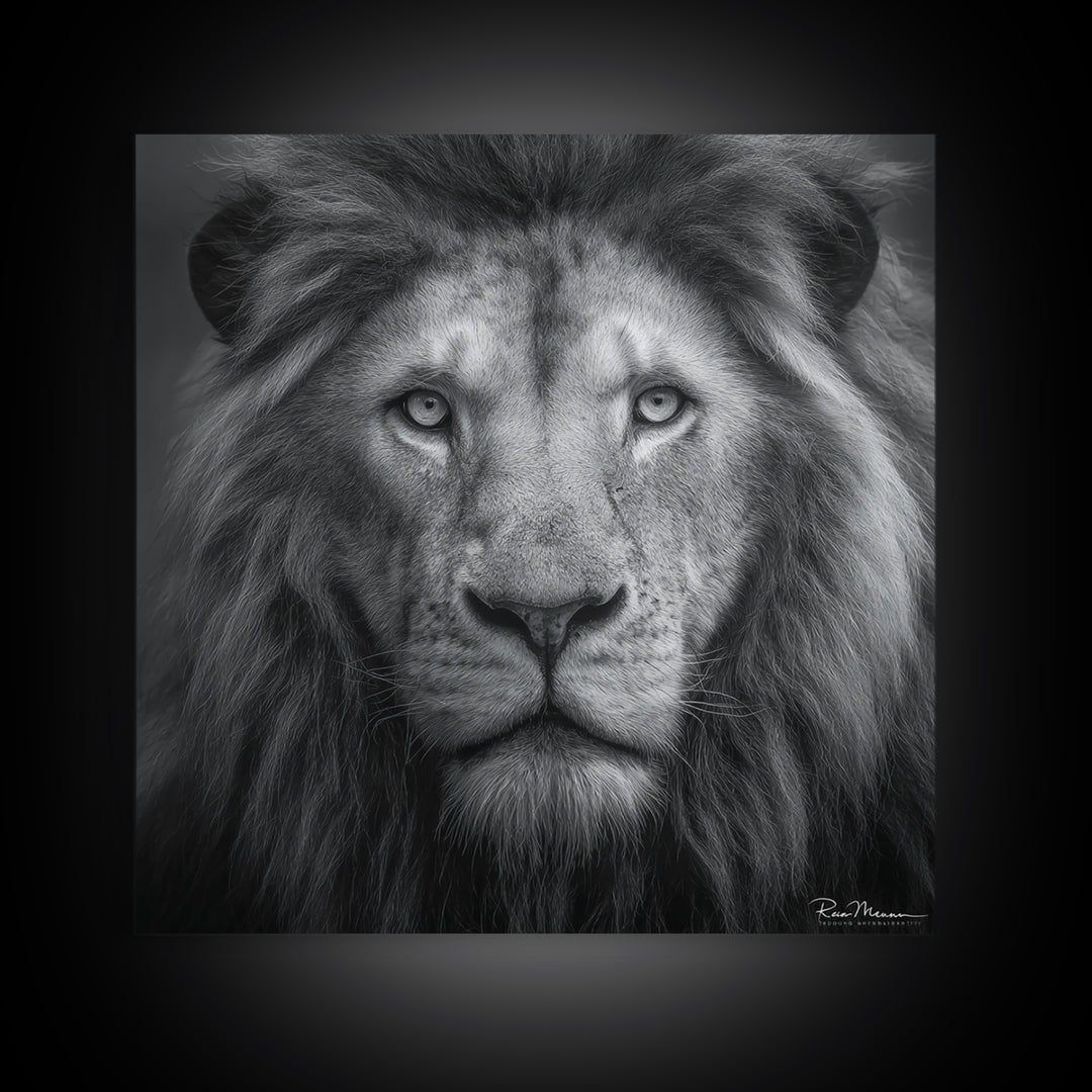 Dramatic Black and White Lion Portrait Canvas Print, Black and White Art, Gallery Decor, Living Room Decor, Monochrome, BAW-1x1-17