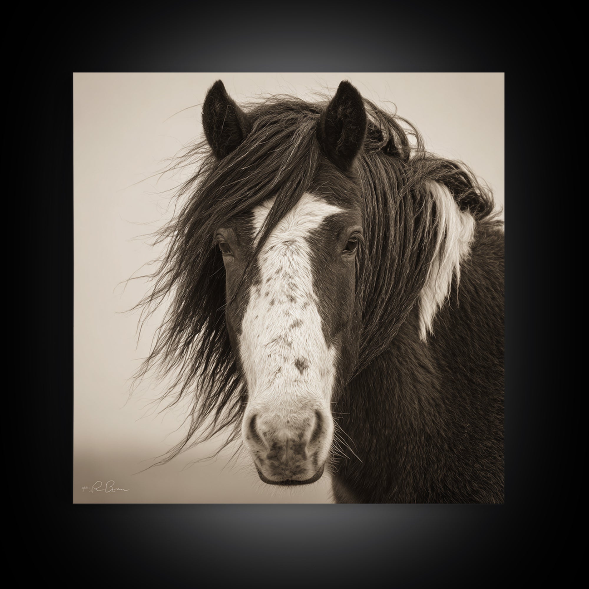 Black and White Wild Horse Portrait Framed Canvas Print, Black and White Art, Textured Painting, Living Room Decor, Monochrome, BAW-1x1-53