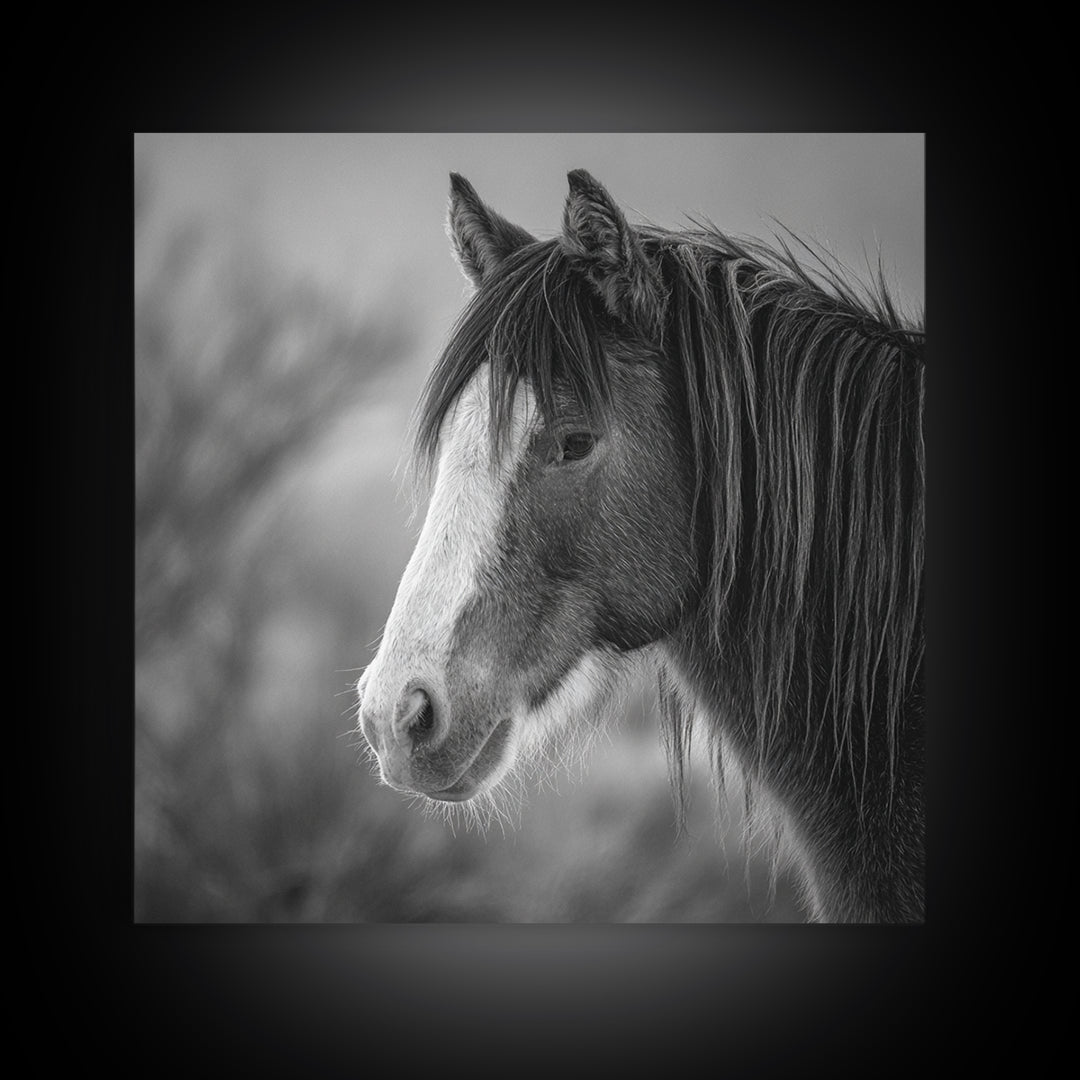 Black and White Wild Horse Portrait Canvas Print, Black and White Art, Art, Living Room Decor, Monochrome, Original Art, BAW-1x1-77