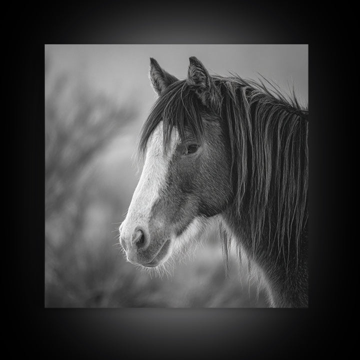 Black and White Wild Horse Portrait Canvas Print, Black and White Art, Art, Living Room Decor, Monochrome, Original Art, BAW-1x1-77