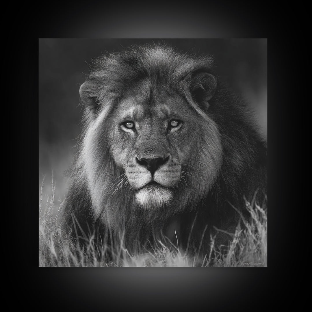 Dramatic Black and White Lion Portrait Canvas Print, Black and White Art, Contemporary Art, Living Room Decor, Monochrome, BAW-1x1-89
