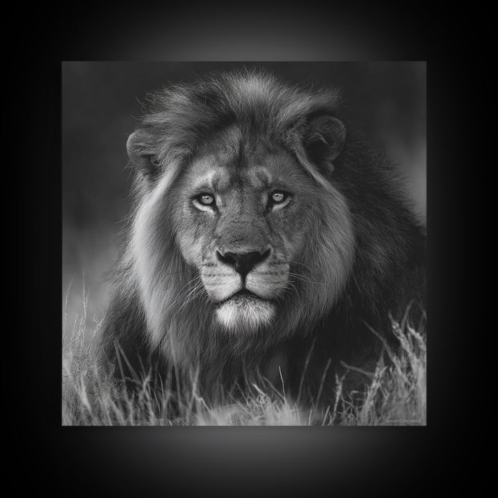 Dramatic Black and White Lion Portrait Canvas Print, Black and White Art, Contemporary Art, Living Room Decor, Monochrome, BAW-1x1-89