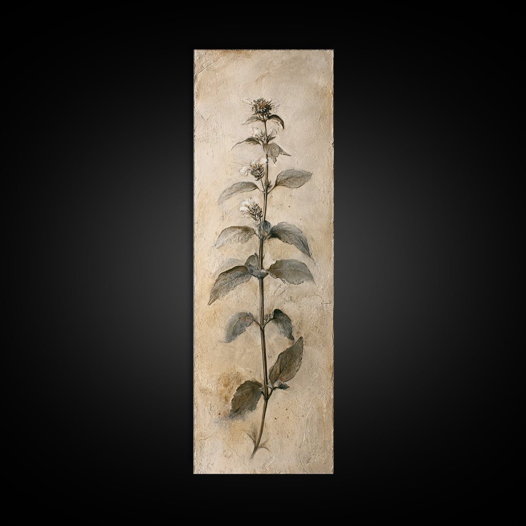 Black and White Botanical Specimen Plate Canvas Print, Black and White Art, Canvas Print, Living Room Decor, Oil Painting, BAW-1x3-59