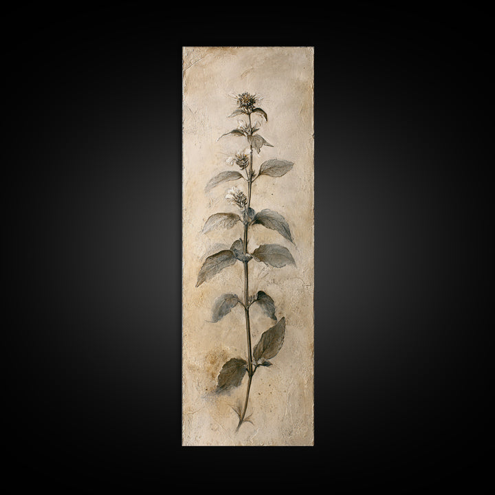 Black and White Botanical Specimen Plate Canvas Print, Black and White Art, Canvas Print, Living Room Decor, Oil Painting, BAW-1x3-59