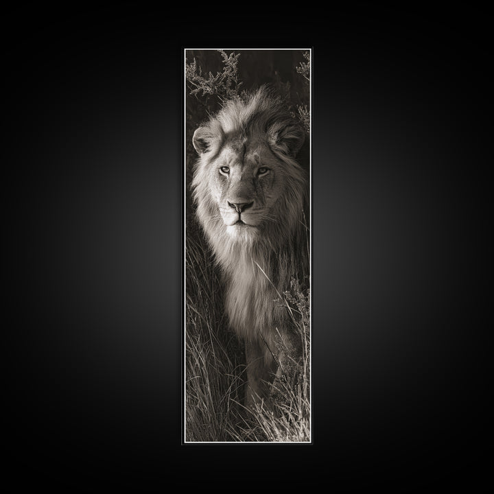 Dramatic Black and White Lion Portrait Canvas Print, Black and White Art, Art, Living Room Decor, Fine Art, Monochrome, BAW-1x3-77