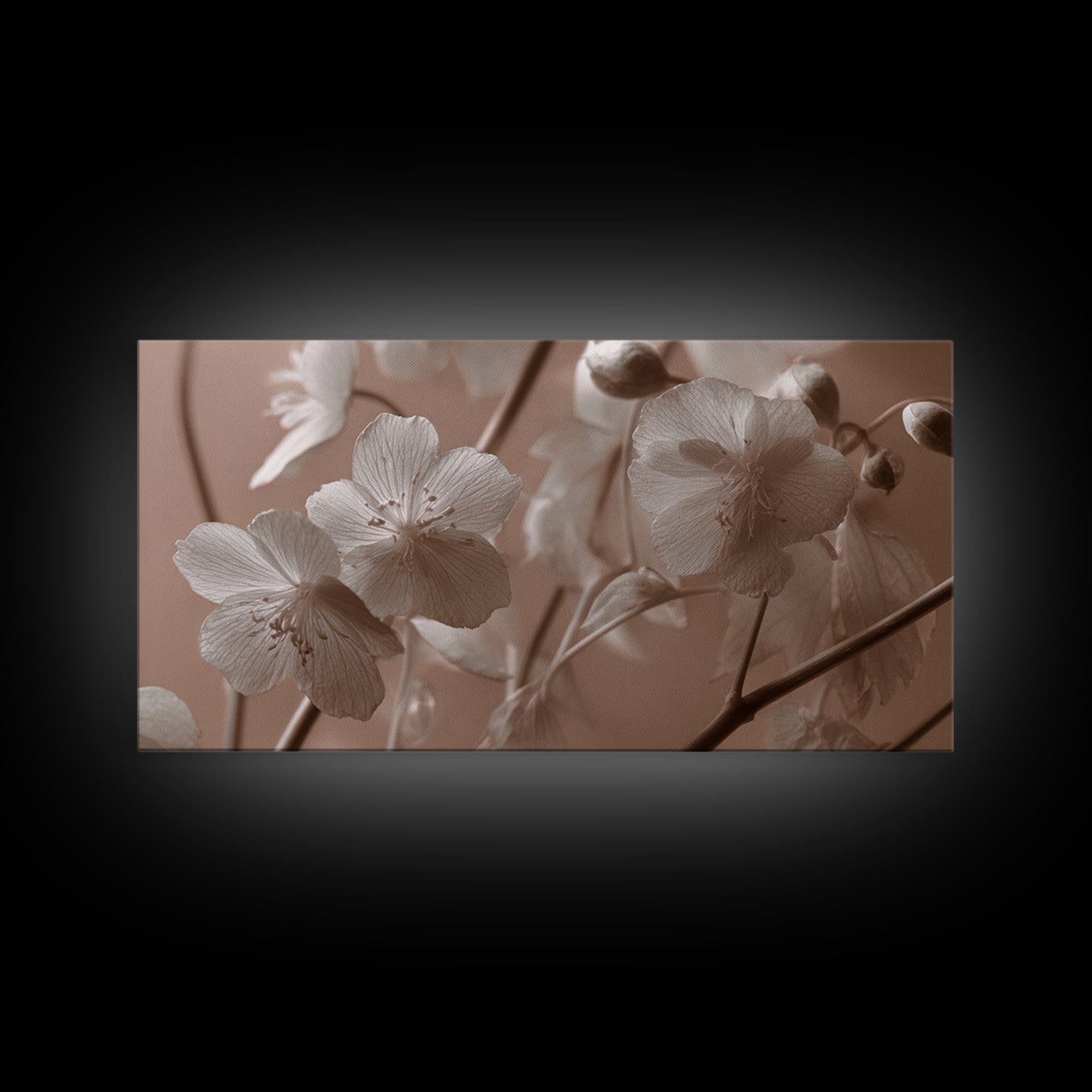 Black and White Botanical Specimen Plate Canvas Print, Black and White Art, Art Print, Living Room Decor, Monochrome, BAW-2x1-43