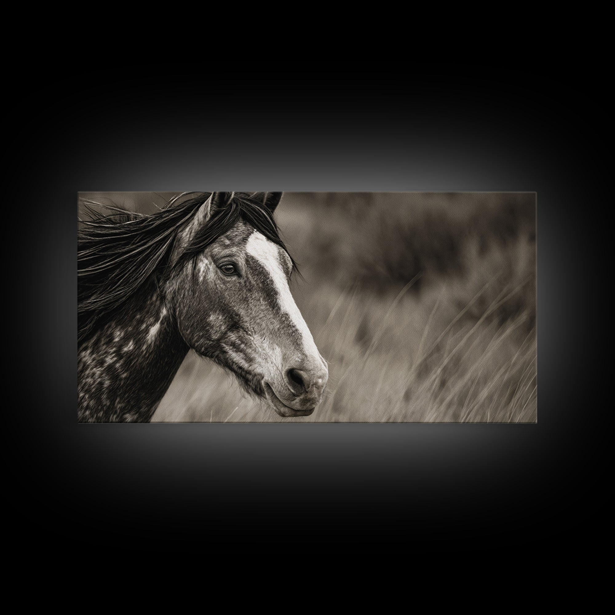 Black and White Wild Horse Portrait Canvas Print, Black and White Art, Large Wall Art, Living Room Decor, Fine Art, Monochrome, BAW-2x1-49