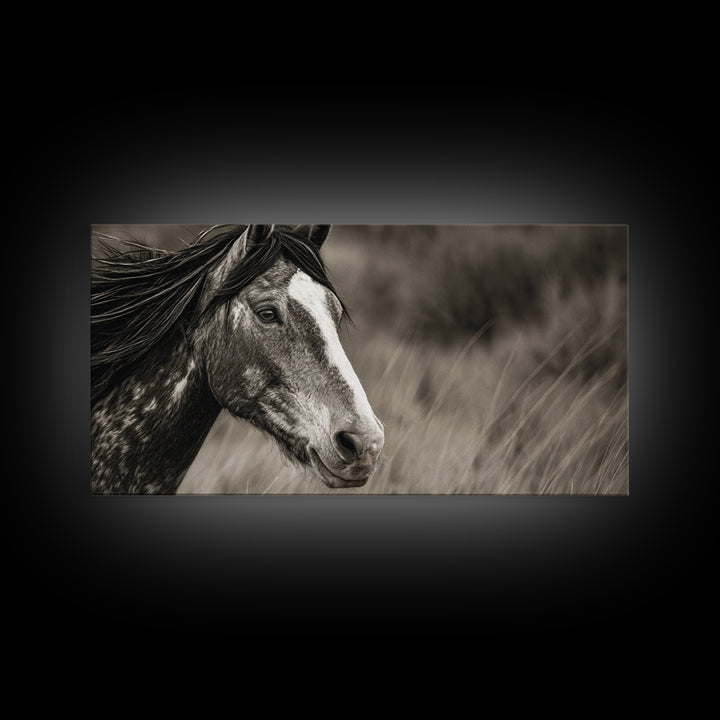 Black and White Wild Horse Portrait Canvas Print, Black and White Art, Large Wall Art, Living Room Decor, Fine Art, Monochrome, BAW-2x1-49