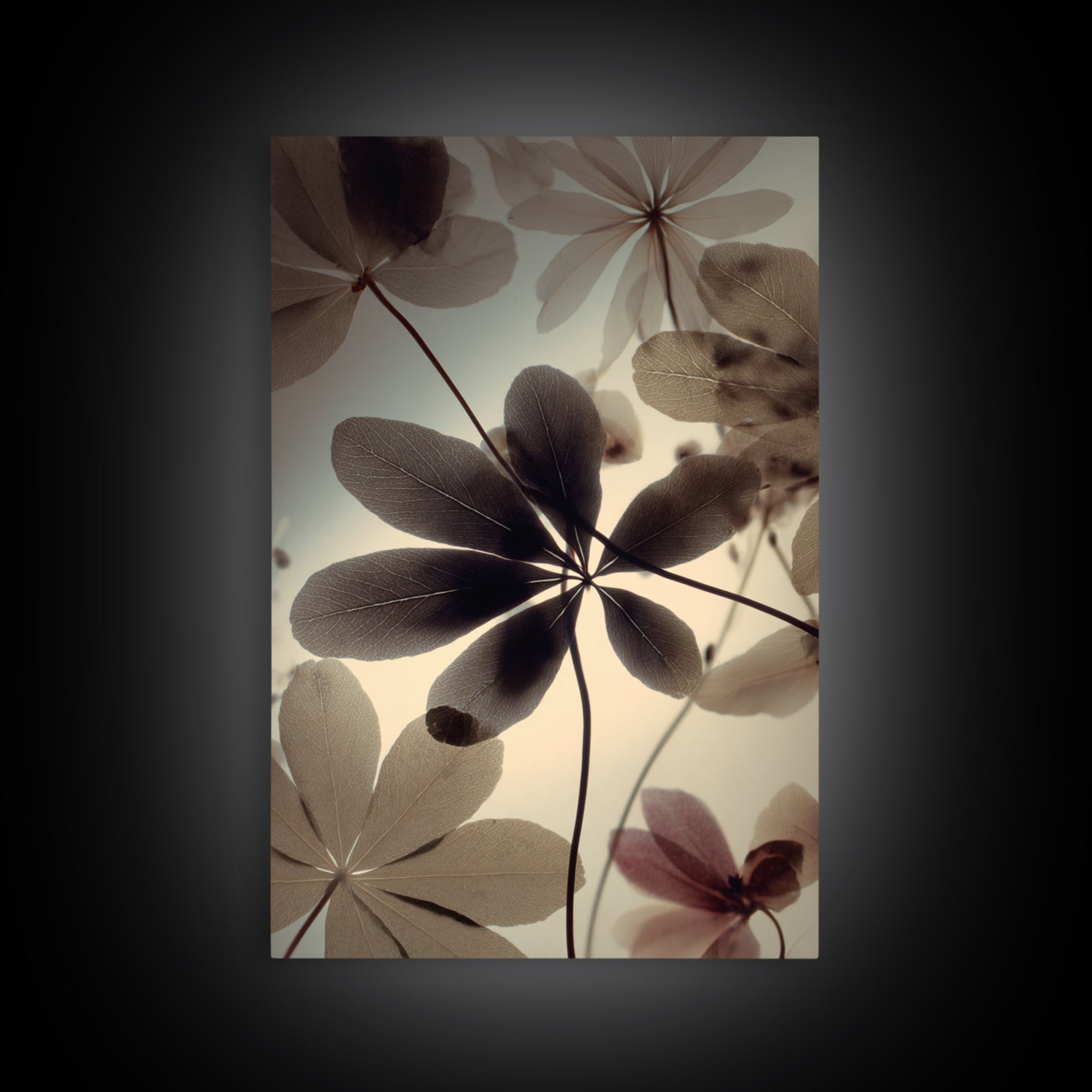 Black and White Botanical Specimen Plate Canvas Print, Black and White Art, Large Wall Art, Living Room Decor, Monochrome, BAW-2x3-79