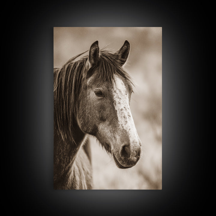 Black and White Wild Horse Portrait Framed Canvas Print, Black and White Art, Canvas Print, Living Room Decor, Monochrome, BAW-2x3-85