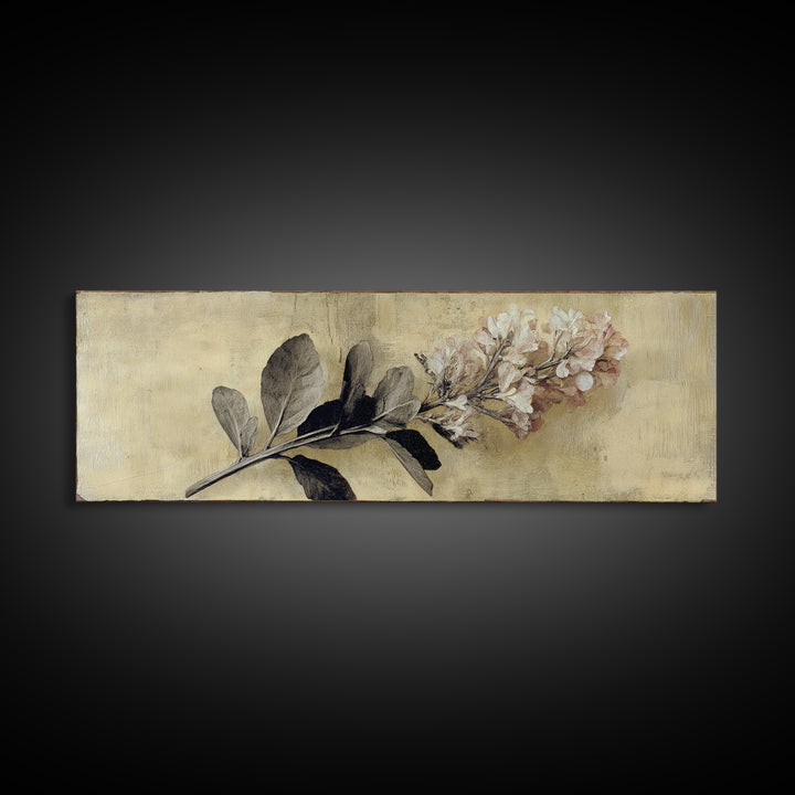 Black and White Botanical Specimen Plate Canvas Print, Black and White Art, Gallery Decor, Living Room Decor, Monochrome, BAW-3x1-15