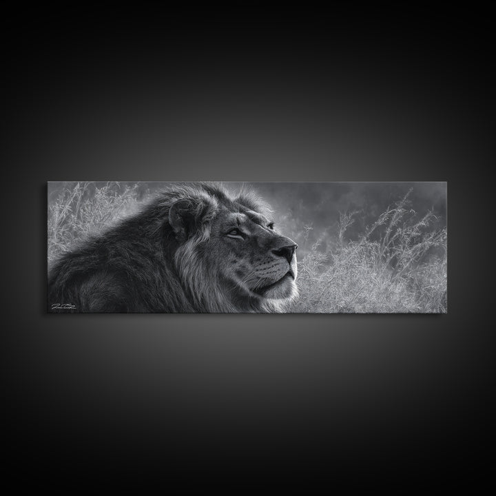 Dramatic Black and White Lion Portrait Canvas Print, Black and White Art, Canvas Print, Living Room Decor, Fine Art, Monochrome, BAW-3x1-33