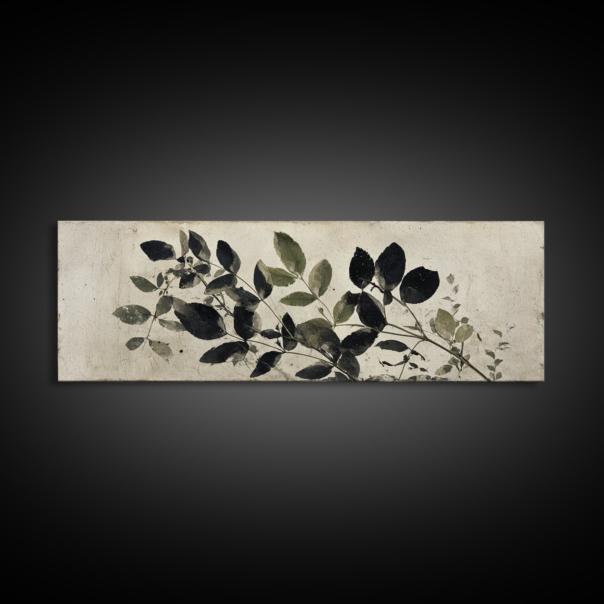 Black and White Botanical Specimen Plate Canvas Print, Black and White Art, Contemporary Art, Living Room Decor, Monochrome, BAW-3x1-63