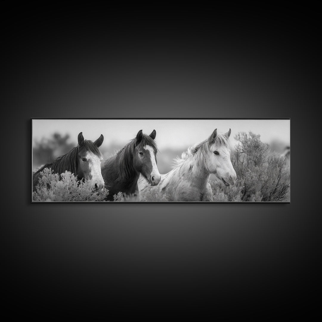 Black and White Wild Horse Portrait Framed Canvas Print, Black and White Art, Gallery Decor, Living Room Decor, Monochrome, BAW-3x1-69