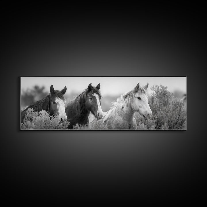 Black and White Wild Horse Portrait Framed Canvas Print, Black and White Art, Gallery Decor, Living Room Decor, Monochrome, BAW-3x1-69