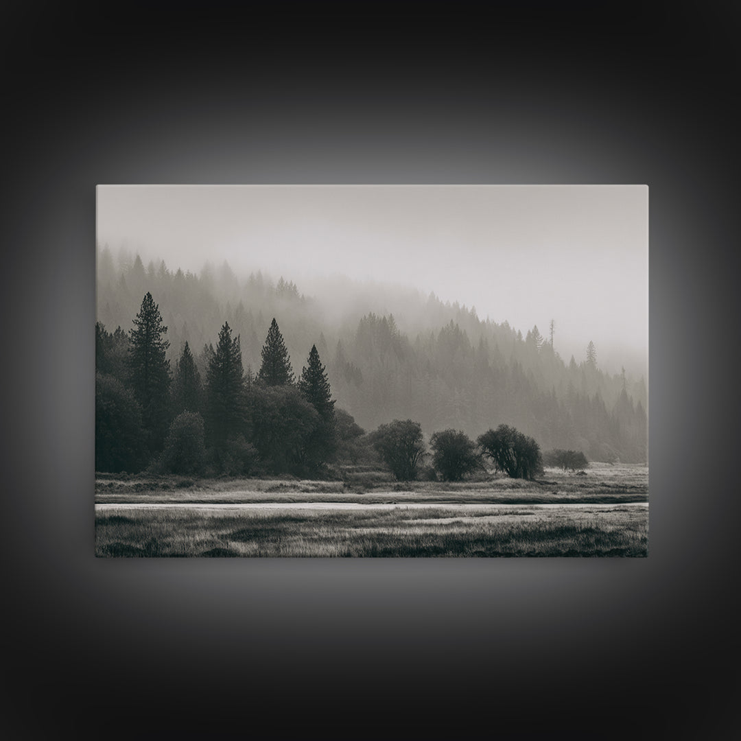 Moody Foggy Forest Canvas Print, Black and White Art, Gothic Decor, Living Room Decor, Oil Painting, Monochrome, BAW-3x2-83